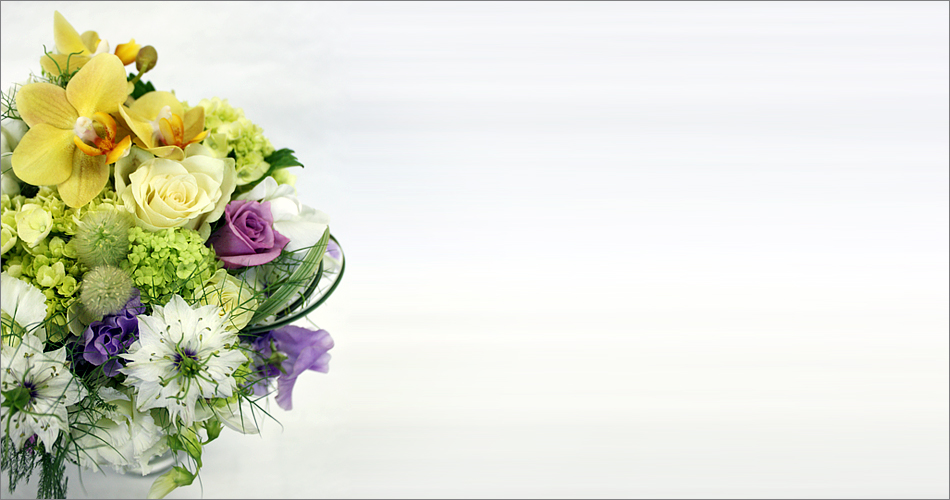 桜とカラーのディスプレイ